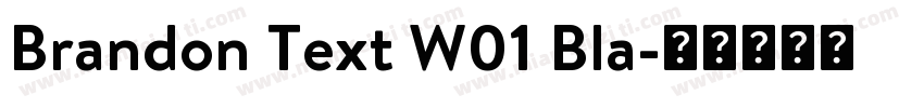 Brandon Text W01 Bla字体转换
